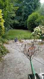 Bonjour je vous propose mes services de jardinage l'entretie, Diensten en Vakmensen, Tuinmannen en Stratenmakers