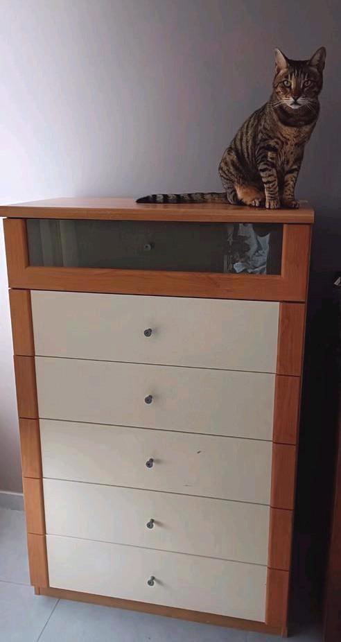 Hoge handige commodekast, Huis en Inrichting, Kasten | Ladekasten, Gebruikt, Ophalen