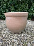 Terracotta bloempot  46x37 cm, 40 tot 70 cm, Terracotta, Tuin, Rond