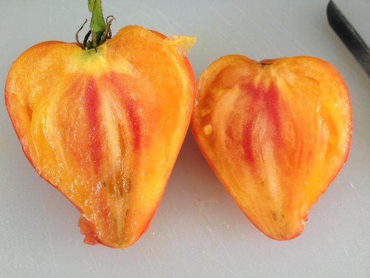 "Orange Russian 117" tweekleurige vlees tomaat - 5 zaden, Tuin en Terras, Bloembollen en Zaden, Zaad, Voorjaar, Verzenden