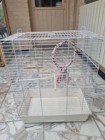 Vogelkooi  beschikbaar voor biedingen