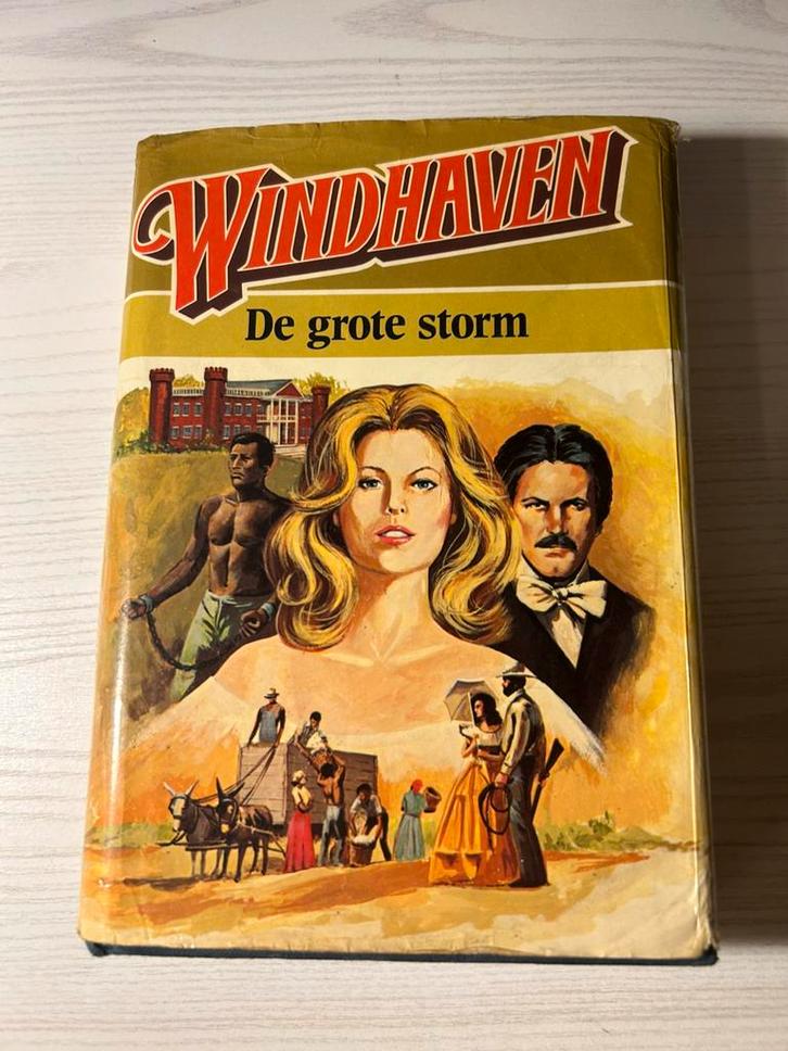 Windhaven: De Grote Storm - George R.R. Martin, Boeken, Historische romans, Zo goed als nieuw, Ophalen