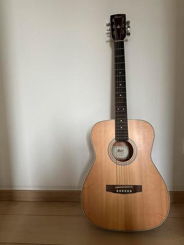 Gitaar + Tas + Capodaster beschikbaar voor biedingen