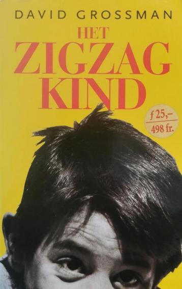 Te Koop Boek HET ZIGZAGKIND David Grossman beschikbaar voor biedingen