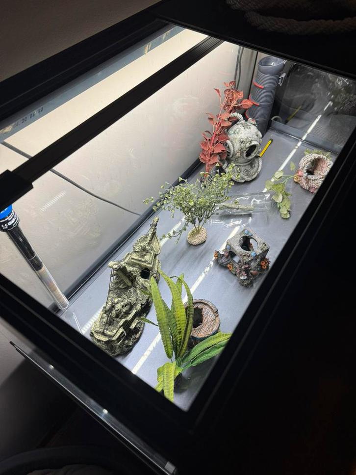 Aquarium rectangulaire, Animaux & Accessoires, Reptiles & Amphibiens | Accessoires, Comme neuf, Éclairage, Enlèvement