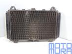 Radiateur voor de Kawasaki GPZ 600 1985 - 1989 radiator koel, Motoren, Gebruikt, -, -, Ophalen of Verzenden
