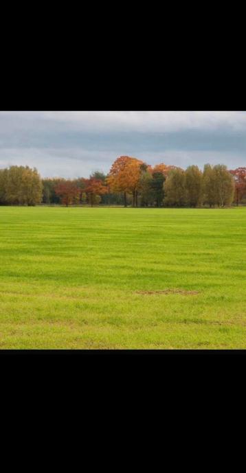 Gezocht landbouwgrond, grasland  beschikbaar voor biedingen