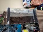 Terrarium 40 x 40 x80, Dieren en Toebehoren, Ophalen, Gebruikt, Terrarium of Paludarium