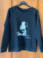 Duranti trui Snoopy maat Medium, Ophalen