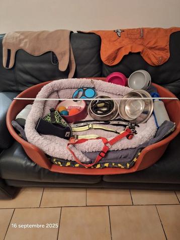 Panier-Laisse-Collier etc... beschikbaar voor biedingen