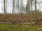 BOS, Immo, Gronden en Bouwgronden, Verkoop zonder makelaar, 1500 m² of meer