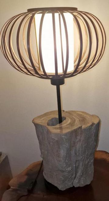 Lampe unique en bois pétrifié