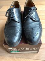 Lederen veterschoenen zwart maat 44 van het merk Ambiorix., Ophalen of Verzenden, Zo goed als nieuw, Zwart, Veterschoenen