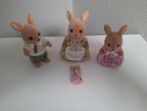 Sylvanian Families (set nr 4766) - Kangoeroe familie, Verzamelen, Poppetjes en Figuurtjes, Zo goed als nieuw, Ophalen of Verzenden