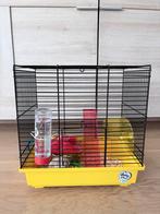 Hamster met kooi, Dieren en Toebehoren, Ophalen, Kooi, Hamster