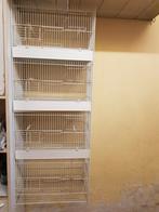 Lot de cages pour élevage oiseaux, longueur 1m40, Enlèvement