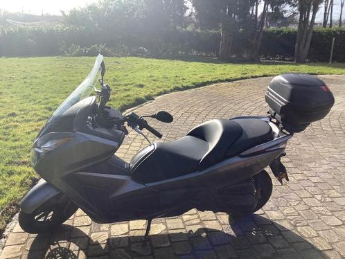 Honda Forza 300, Motoren, Motoren | Honda, Particulier, Scooter, 12 t/m 35 kW, 1 cilinder, Ophalen