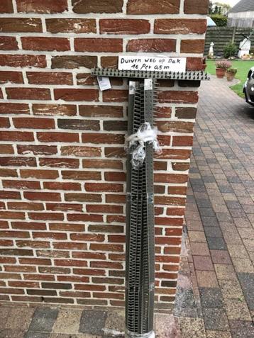 Last van duiven . Dorpel of dak pinnetjes  beschikbaar voor biedingen