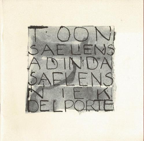 Toon Saelens - Adinda Saelens - Niek Delporte., Livres, Art & Culture | Arts plastiques, Utilisé, Enlèvement ou Envoi
