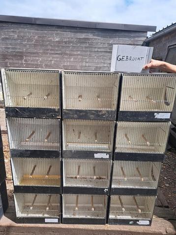 Tentoonstelling kooien         beschikbaar voor biedingen