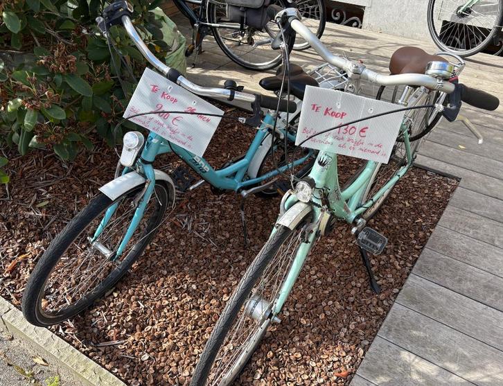 Prima meisjesfiets, Fietsen en Brommers, Fietsen | Dames | Damesfietsen, Gebruikt, 56 cm of meer, Ophalen