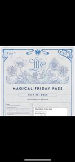 1 place Tomorrowland 2014 : magical friday pass (26/07/2024), Tickets en Kaartjes