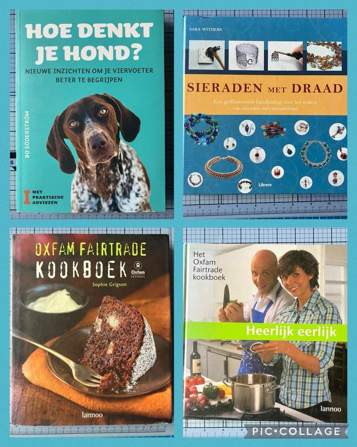 Studieboeken en vrijetijdsbieken, Boeken, Studieboeken en Cursussen, Ophalen of Verzenden
