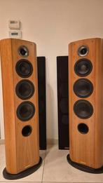 Bahía Altura Cabasse, Enlèvement, Haut-parleur central