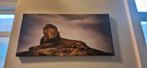 Foto canvas liggende leeuw, Ophalen