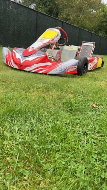 Karting, Sport en Fitness, Karting, Ophalen, Zo goed als nieuw, Kart