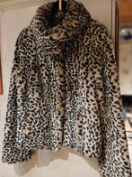 VESTE "Léopard", Vêtements | Femmes, Taille 38/40 (M), Autres couleurs, Easy Confort, Comme neuf
