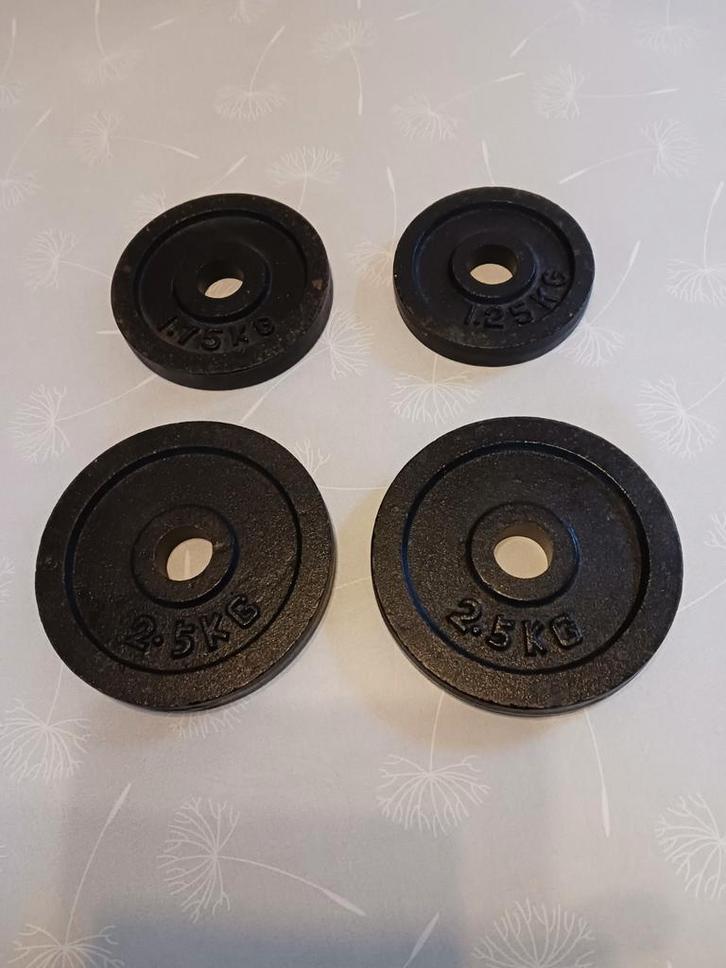 4 gietijzer gewichten voor halter., Sport en Fitness, Fitnessmaterialen, Gebruikt, Ophalen