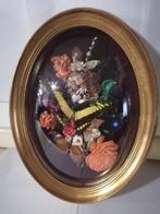 Taxidermy, Verzenden, Nieuw, Insect, Opgezet dier