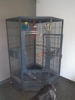 Vogelkooi papegaai/Ara, Ophalen, Gebruikt, Metaal, Vogelkooi