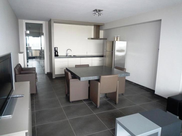 Westende : bel appartement au dique + garage à louer, Vakantie, Vakantie | Aanbiedingen en Last minute, Eigenaar