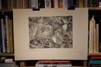 Pierre Vlerick - Litho - 1981 - 62/100, Ophalen of Verzenden