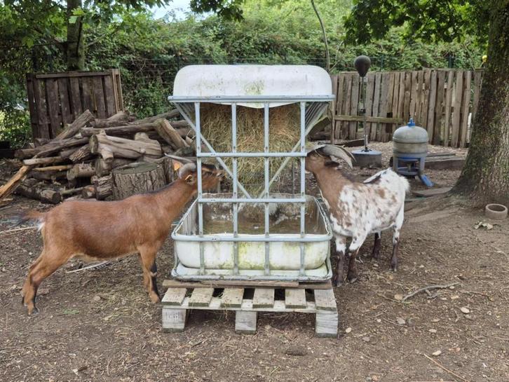 Rek voor veevoer, Dieren en Toebehoren, Dierenvoeding, Vee, Ophalen