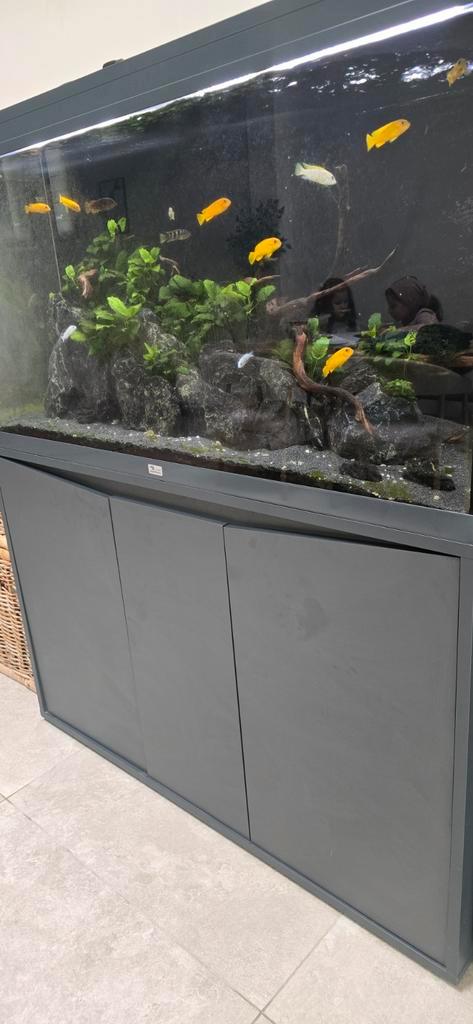Aquarium 120cm aquatlantis volga 350, Dieren en Toebehoren, Vissen | Aquaria en Toebehoren, Ophalen