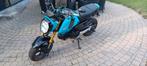 Honda grom msx 125cc bj 2023, Motos, Motos | Honda, Particulier