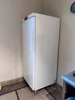 LIEBHERR koelkast profiline, Ophalen, Zonder vriesvak, 200 liter of meer, 60 cm of meer