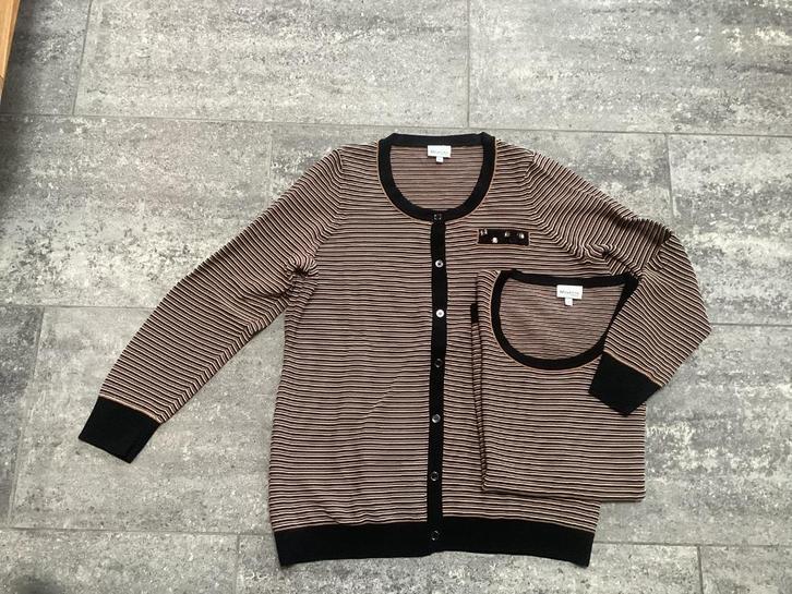 Ensemble Twinset Mayerline L, Vêtements | Femmes, Pulls & Gilets, Neuf, Taille 42/44 (L), Autres couleurs, Enlèvement ou Envoi