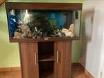 Aquarium 160L met filter, Dieren en Toebehoren, Ophalen, Zo goed als nieuw