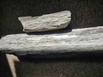 Versteend hout fossiel, Verzamelen, Mineralen en Fossielen, Ophalen, Fossiel