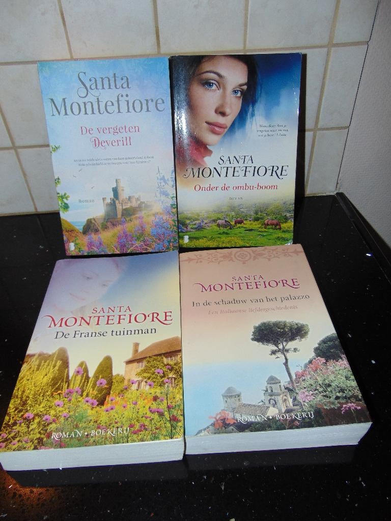 Romans Santa Montefiore, Livres, Romans, Enlèvement ou Envoi, Utilisé