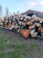 Vers wilgenhout, Tuin en Terras, Brandhout, 3 tot 6 m³, Ophalen, Overige houtsoorten, Takken