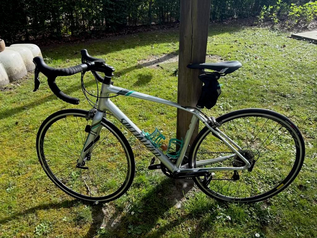 Koersfiets dames, Fietsen en Brommers, 26 inch, Velgrem, Minder dan 49 cm, Zo goed als nieuw