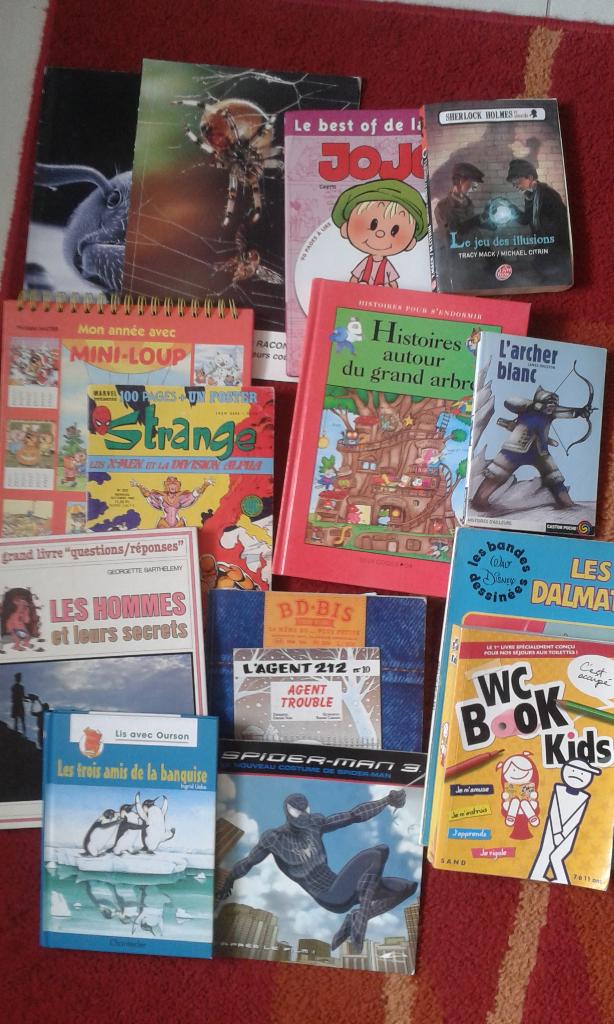 Lot livres divers enfant, Enlèvement ou Envoi, Utilisé, 4 ans