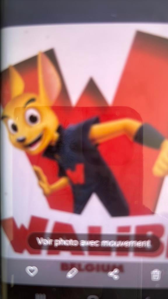 4 Walibi-tickets + parkeren, Drie personen of meer