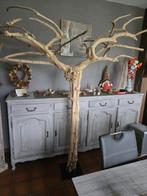 java boom, Dieren en Toebehoren, Ophalen, Zo goed als nieuw, Overige typen