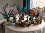 Lego bloemen in heel goede staat, Ophalen, Lego